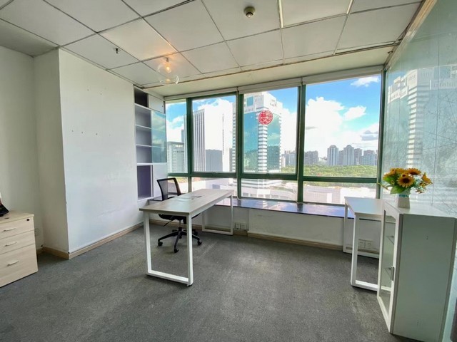 天台县道路绿化花卉绿植怎么样