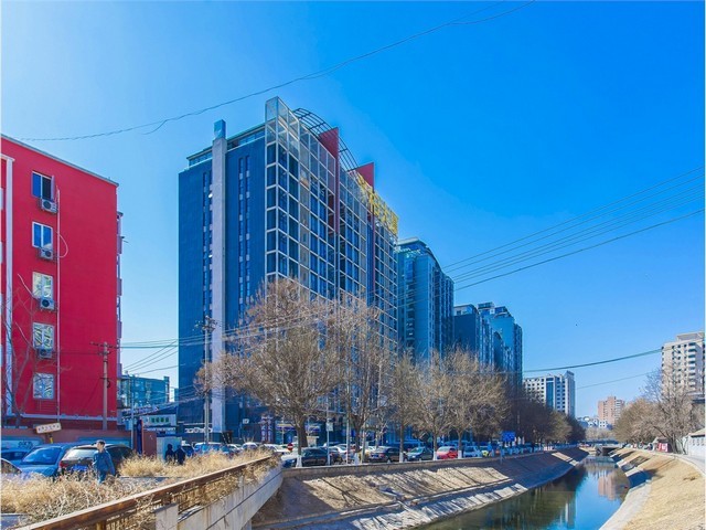 徐汇学校绿植租赁送货上门